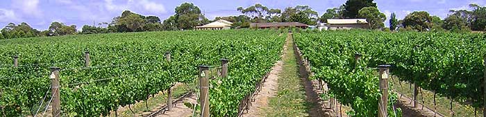 Set on 10 Acres on Moorooduc Road, Moorooduc, Barmah Park is a small family owned vineyard. 